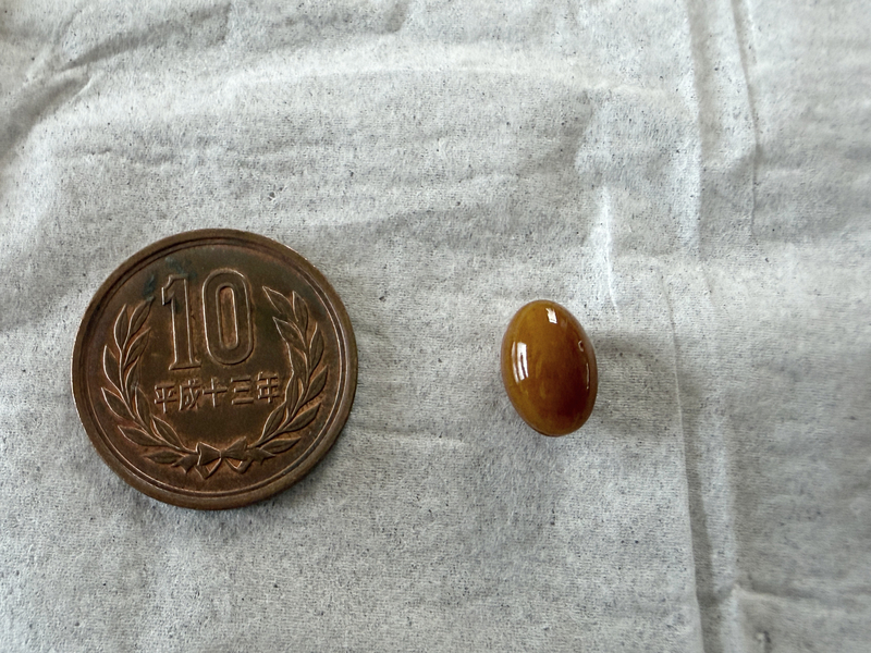リメンバのサプリメントカプセルと10円玉を並べて大きさを比較した写真。小豆大のコンパクトなサイズ