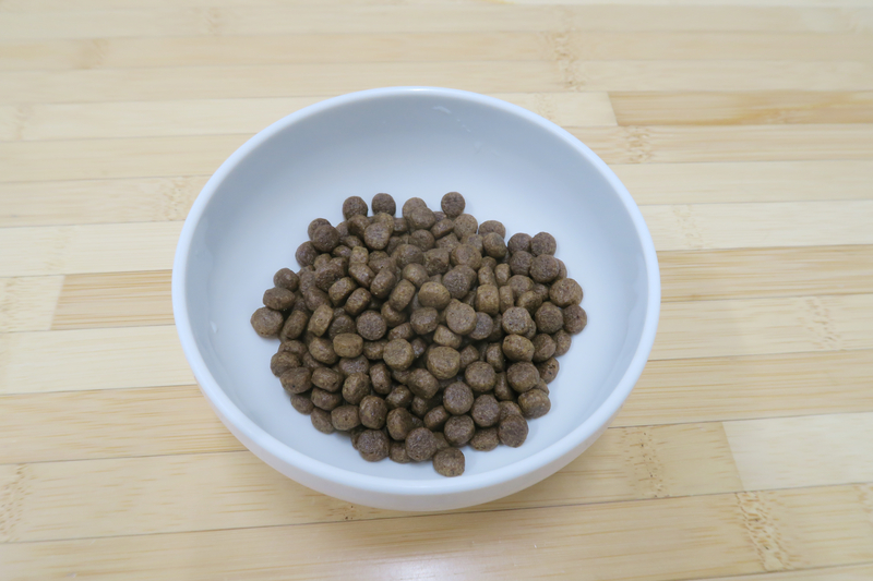 白いお皿に盛り付けられた一食分の丸くて香ばしそうなグランツキャットフード