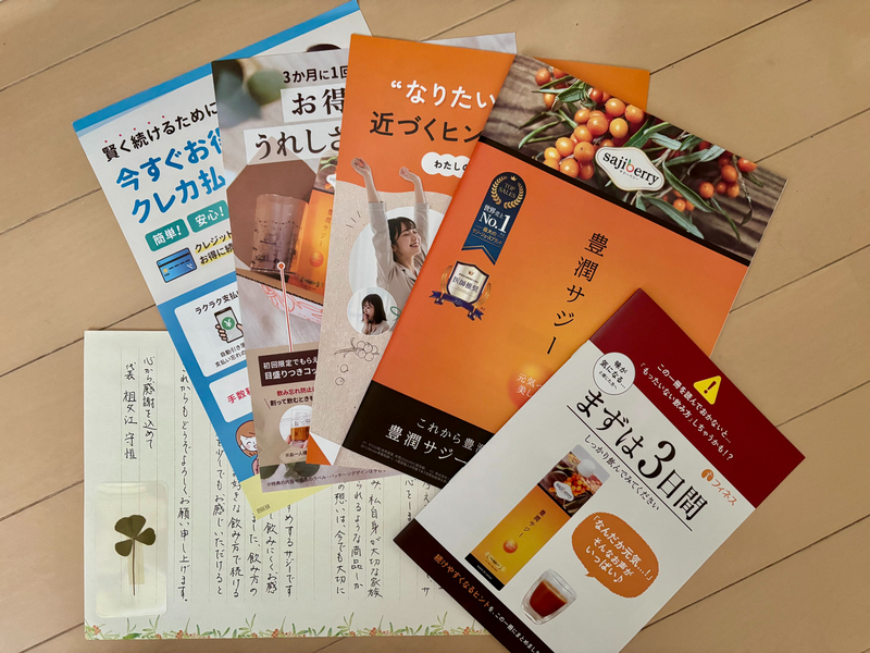豊潤サジー購入時のパンフレット一覧