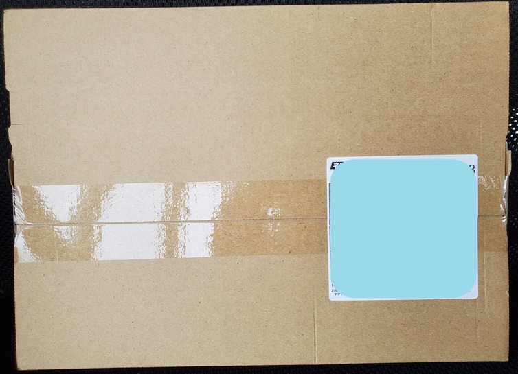 冒頭,ネコポスで自宅のポストに届いたダニ捕りくんの薄型段ボール箱